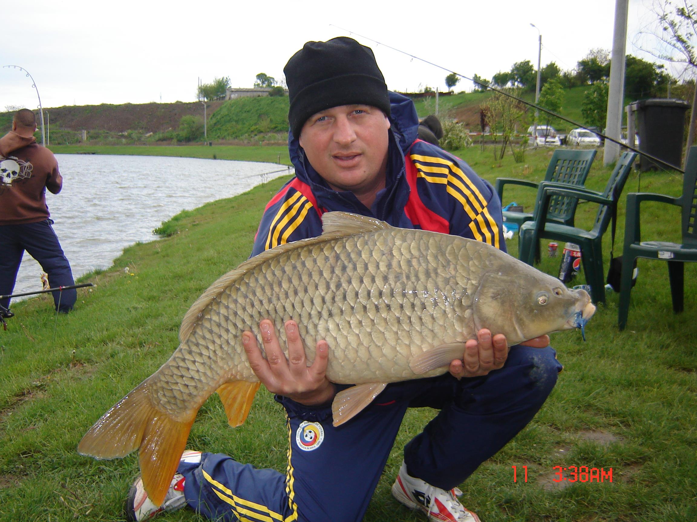 popesti - floarea popestiului